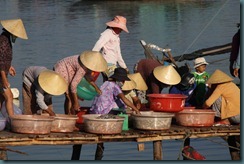 early morning catch Hoi An