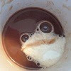 coffeefrog-ava