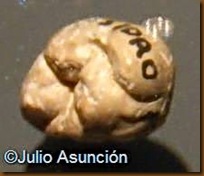 Molar de neandertal o heildebergensis del yacimiento de San Isidro - Carabanchel - Madrid