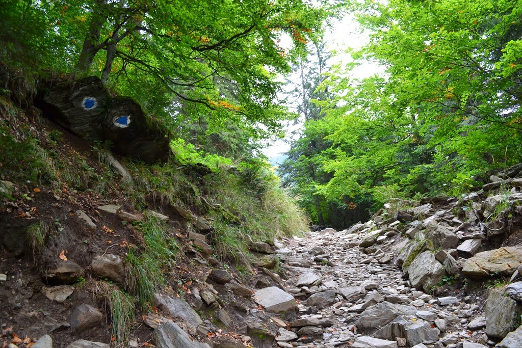[DSC_99743.jpg]