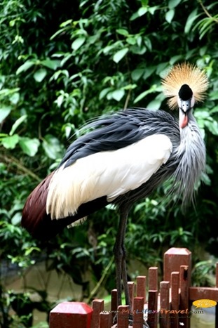 Langkawi Wildlife Park Langkawi Wildlife Park