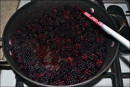 hot blackberries
