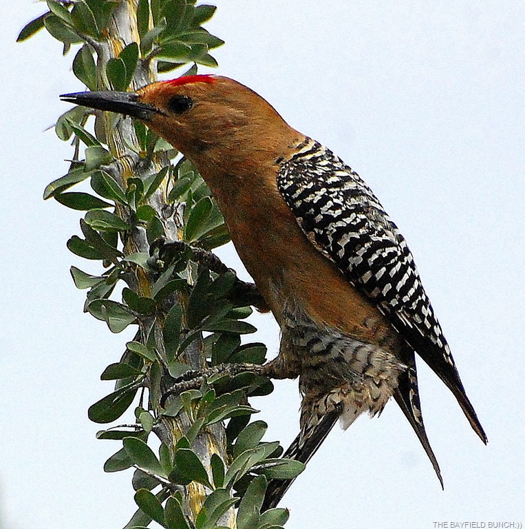 [DSC_8986%255B4%255D.jpg]