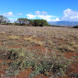 Site of Project north of Kaiwahine