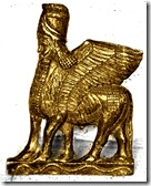 homem cavalo color homem cavalo color