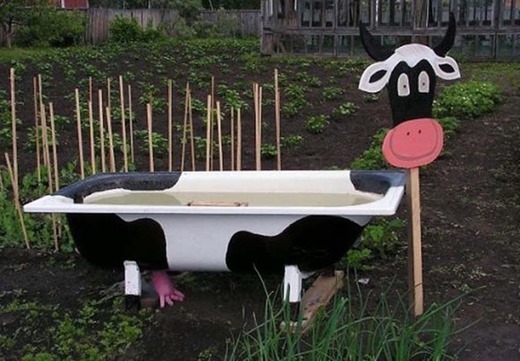 [564093_600%255B2%255D.jpg]