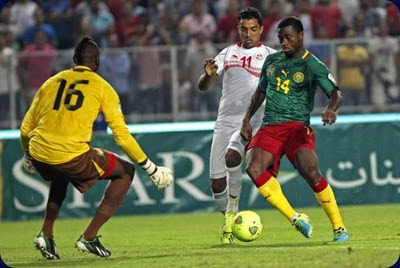 camerun 2014 camerun 2014