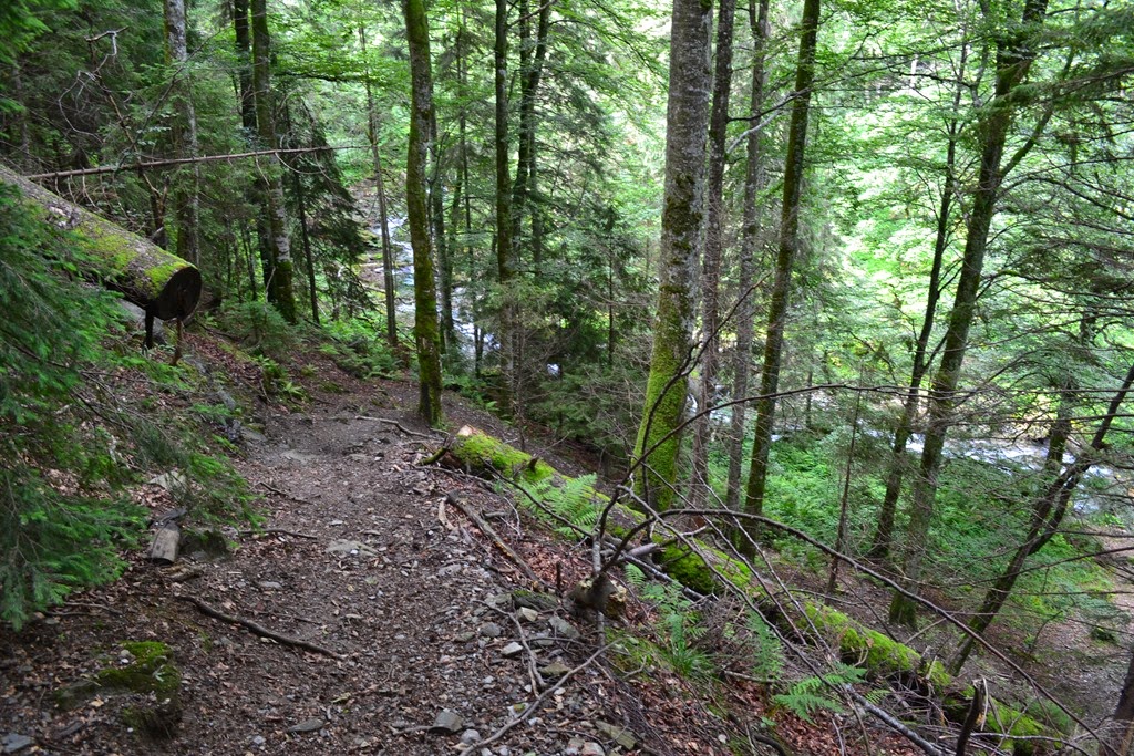 [DSC_28503.jpg]