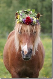 animales con flores JPG (1)