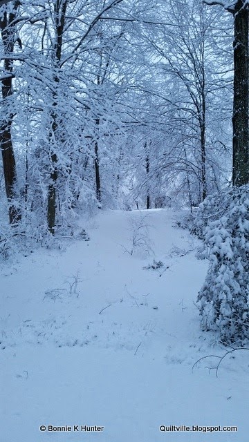 [20150226_071735%255B3%255D.jpg]