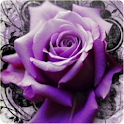 3D Roses logo
