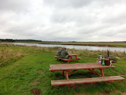 Skjern Au _ Oktober 2012 - 130