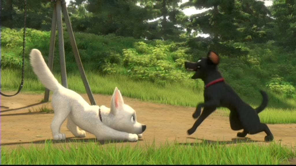 [27-un-chien4.jpg]