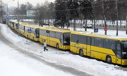 Автобусы