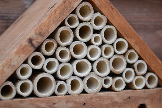 Pyramid for Leaf-cutter bees