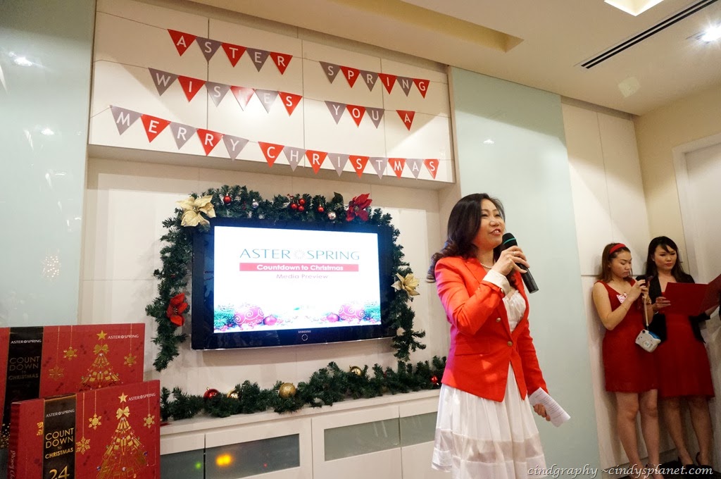 [AsterSpring%2520Advent%2520Calendar5%255B3%255D.jpg.webp]