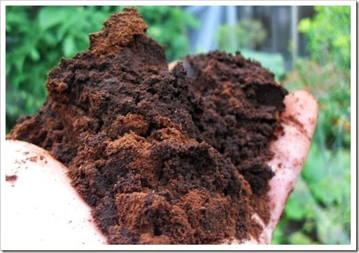 compost