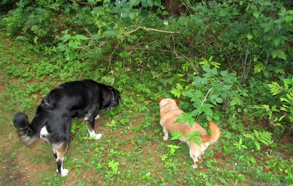 [IMG_0643%255B3%255D.jpg]