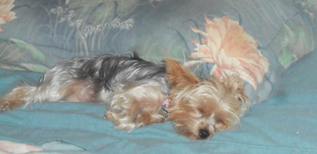 [Maddie-worn-out.15.Nov.2011%255B4%255D.jpg]