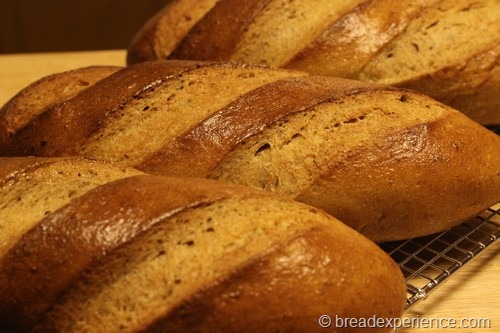 [swedish-rye-bread0348.jpg]