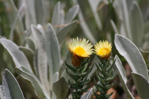 20100301 (9) (Large)