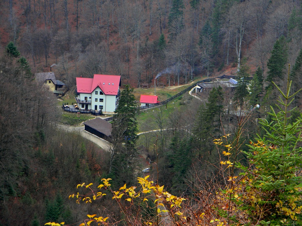 [DSCN18923.jpg]