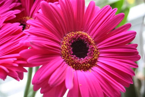 20090510 (1) (Small)