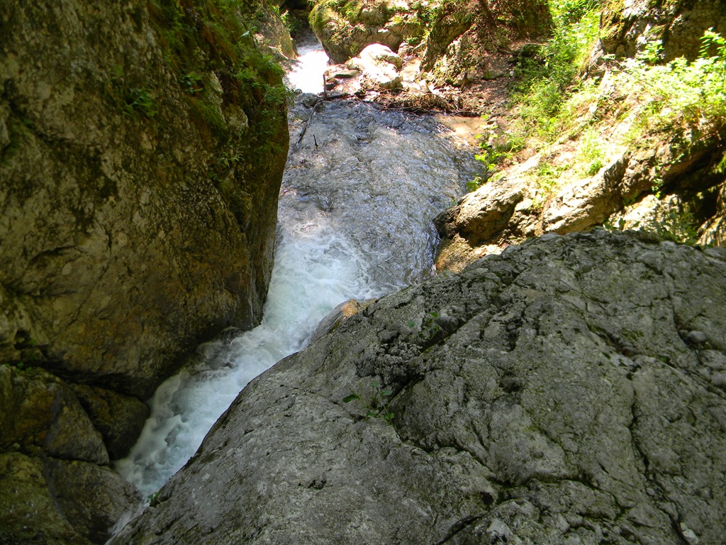 [DSCN32343.jpg]