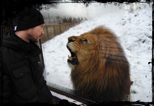 Damien vs Lionking