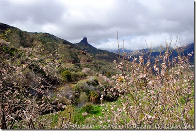 7530 La Goleta-Tejeda(Roque Bentayga) 7530 La Goleta-Tejeda(Roque Bentayga)