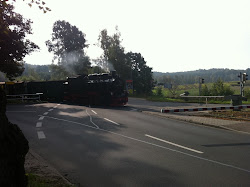 Insel Rügen 2010 - 21