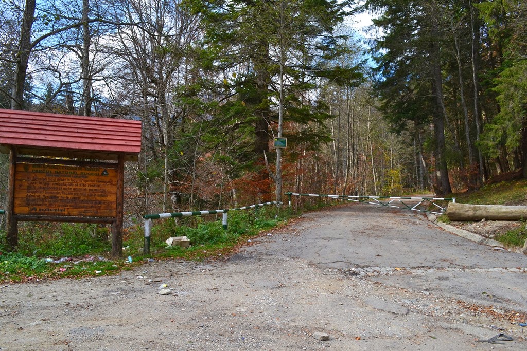 [DSC_01173.jpg]