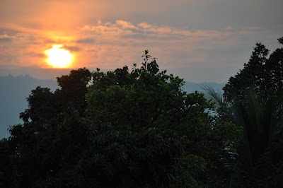 DSC_0697.JPG