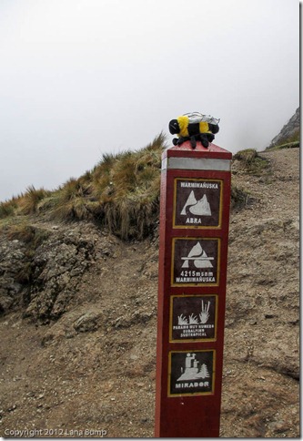 Yes, we hiked the Inca Trail with Mr. Bee.  He's light!