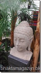 boeddha avatara bhaktamagazijn buddhabolo