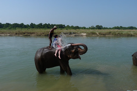 baie pe elefanti