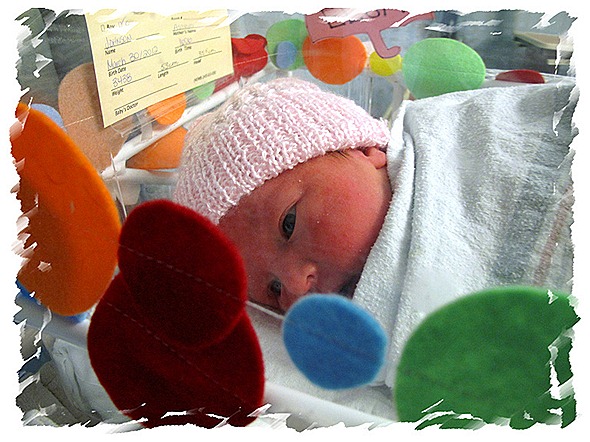 Photo edited with http://www.tuxpi.com Photo edited with http://www.tuxpi.com