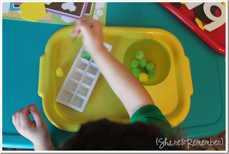 Preschool Activity Trays - one to one correspondence, fine motor skills, transferring