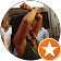 Theresa Gritzbach-Hagner Theresa Gritzbach-Hagner