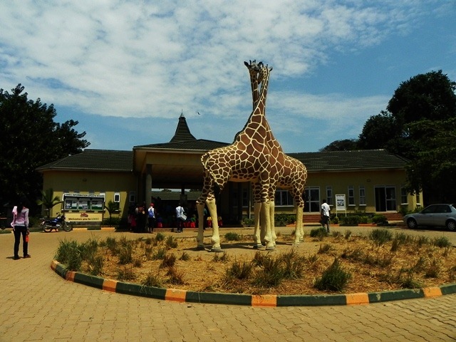 [Entebbe_Zoo_0142.jpg]