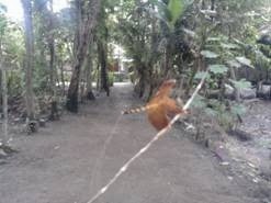 [clip_image0023.jpg]