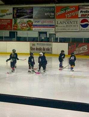 Danica's hockey 2