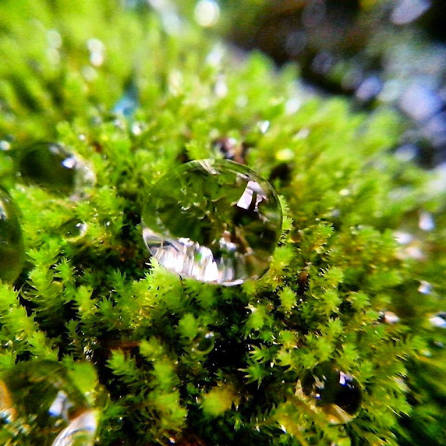 Magelang phone photography Magelang phone photography