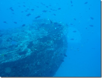 Ship wreckage_Atlantis Submarine Tour