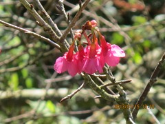 IMG_7521