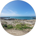 Image Google de Alexandra Patte