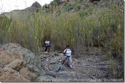 7619 Arteara-San Fernando(Barranco Fataga) 7619 Arteara-San Fernando(Barranco Fataga)