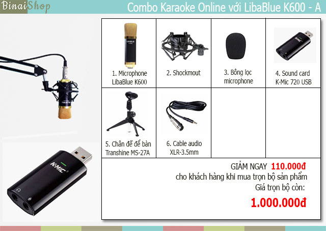 Combo micro hát karaoke online LibaBlue K600