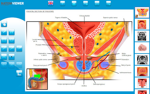 NATOM VIEWER op.03