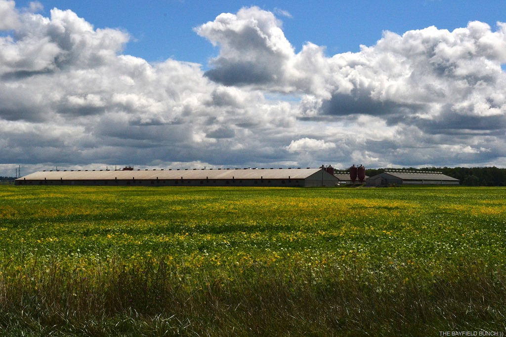 [DSC_0041%255B4%255D.jpg]